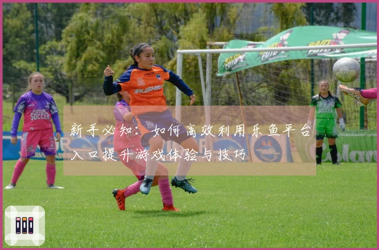 新手必知：如何高效利用乐鱼平台入口提升游戏体验与技巧